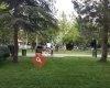 Kültür Park