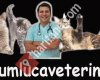 Kumluca Veteriner Kliniği