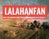 LalahanHaber