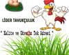 Lider Tavukçuluk