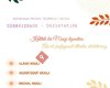 Lüleburgaz Meydan Spa&Masaj Salonu
