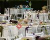 Lydia Park