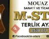 M-STARs