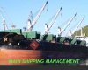 Mahi Shipping Management