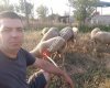Makedonyalı Tarım ve Hayvancılık İşletmesi