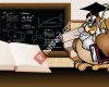 (manisa) Sarıgöl Anadolu Lisesi