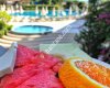 Marmaris Martı La Perla