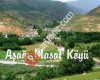 Masat dede korkut i.ö.o