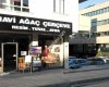 Mavi Ağaç Sanatsal Çerçeve
