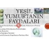 Mavi Yeşil Yumurta
