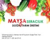 MAYSA Seracilik