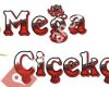Mega Çiçekçilik