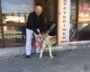 MELİH Büyükdere veteriner HEKİM Klinigi