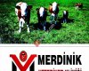 Merdinik Veteriner Kliniği
