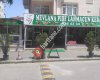 Mevlana Pide lahmacun Kebap