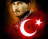 Mihalıççık lütfiye köyü muhtarlıgı