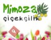 Mimoza Çiçekçilik