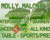 Molly Malone's Bar 2017