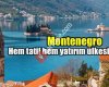Montenegro Karadağ Danışmanlık