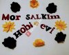 Mor salkim hobi evi