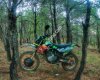 Motodeko, Sticker, Jant Şeridi