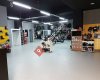 Motosella