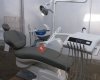 MS.dental.combany