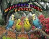 Muhabbet kuşu dünyası
