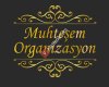 Muhteşem Organizasyon