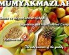 Mumyakmazlar LTD. ŞTİ. Antalya No:264