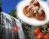 Mustafakemalpaşa İlçe Tarım ve Orman Müdürlüğü