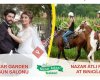 Nazar Adası Tesisleri