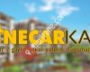 Necar Kaya