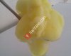 Nefis Limon Dondurma