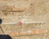 Nice Ephesus Tours