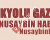 Nusaybinliyiz.com