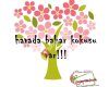 Nymphadora & Opium El Yapimi Dogal Urunler