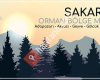 OGM Sakarya ORMAN