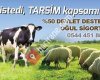 OGUL Sigorta