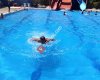 Olimpik Yüzme Kursu