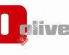 | Olivetti | Terra Bilişim Hizmetleri A.Ş