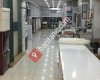 Olivya Home