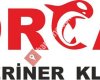 orcaveteriner