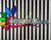 Orhaneli Limited Şirketi