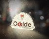 Orkide Dondurma