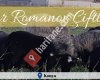 Ortaklar Romanov Çiftliği
