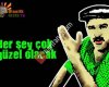 Otantikiksir Şifalı Bitkiler Deryası