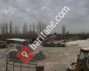 Öz-Gül Hafriyat