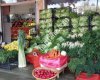 Özaylar Sebze Ve Meyve Market
