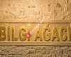 ÖZEL BİLGİ AĞACI